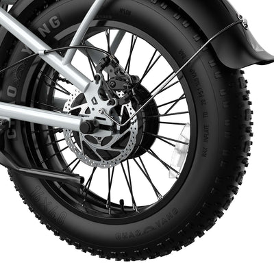 Helokeep COCO Brakes - Helokeep ebike